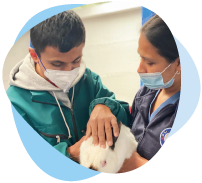 Talleres Vocacionales - Clínica Neurorehabilitar